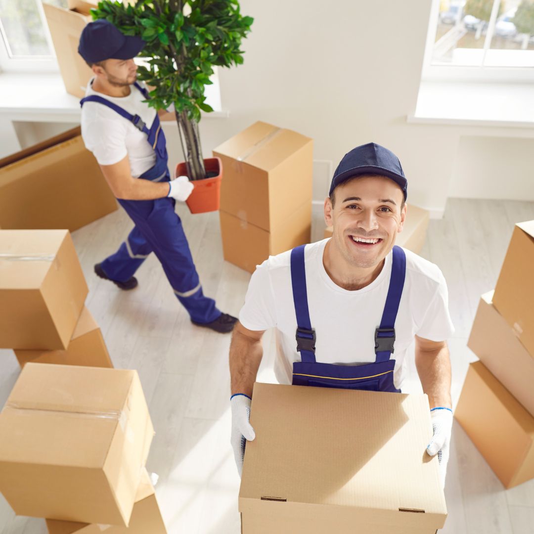 Top 5 Qualities That Make a Packers and Movers Company Trustworthy
